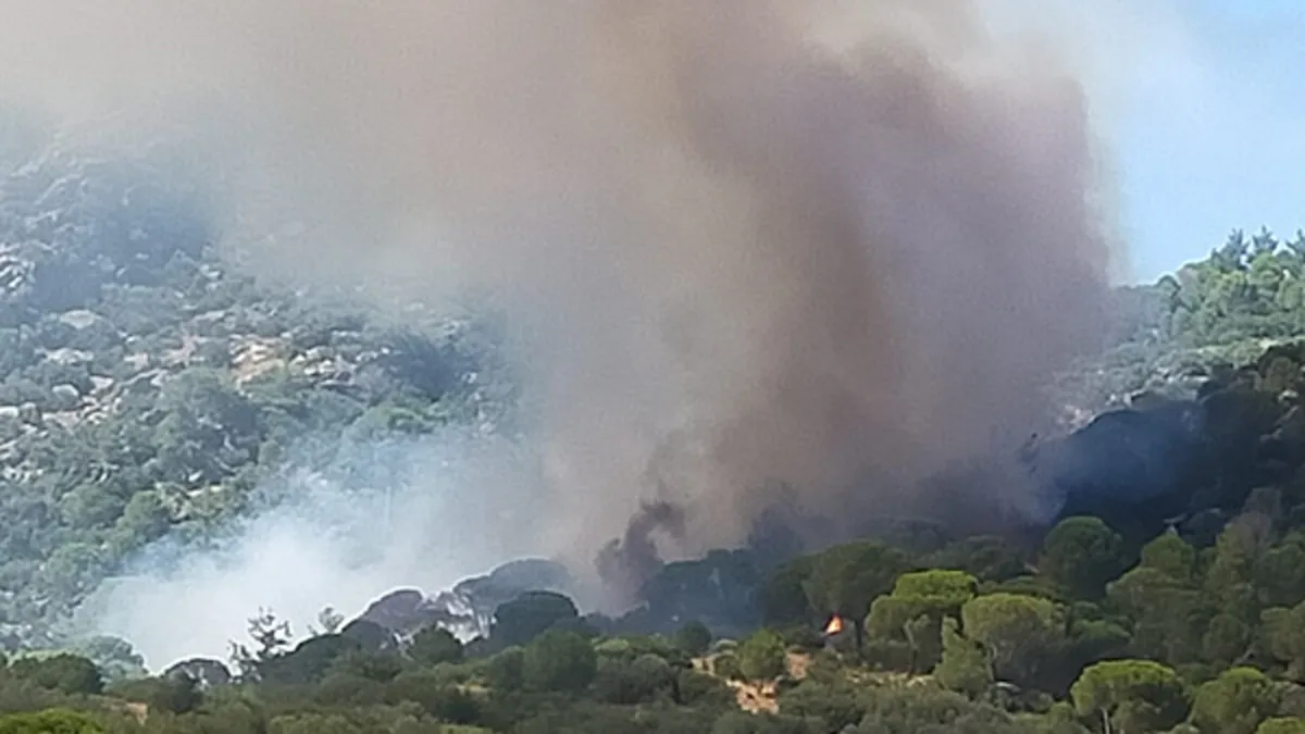 Muğla'da korkutan orman yangını! Müdahale başladı!
