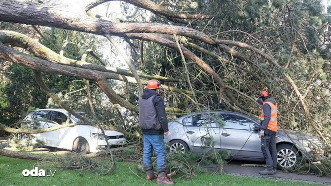 Fransa'da şiddetli fırtına: 2 kişi öldü, binlerce ev elektriksiz kaldı