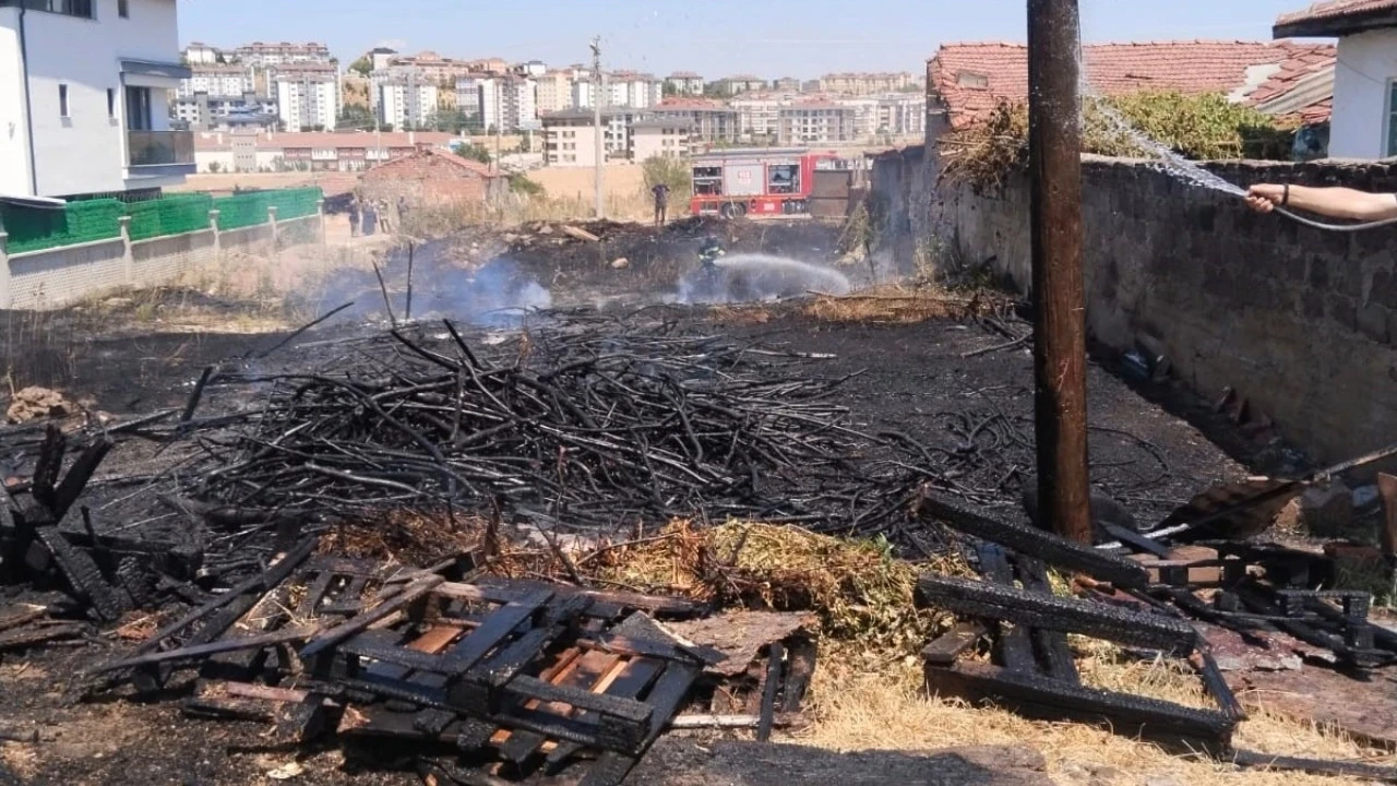 İzmarit bahçeyi yaktı