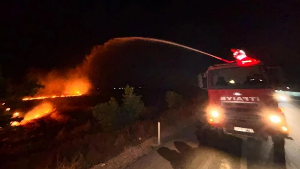 Hatay'da anız yangını zeytinliğe sıçradı: 200 dönüm arazi zarar gördü | HATAY YEREL HABERLERİ
