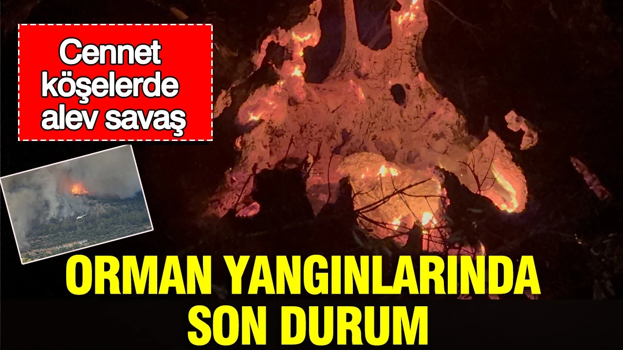 Cennet köşelerde alev savaş: Orman yangınlarında son durum