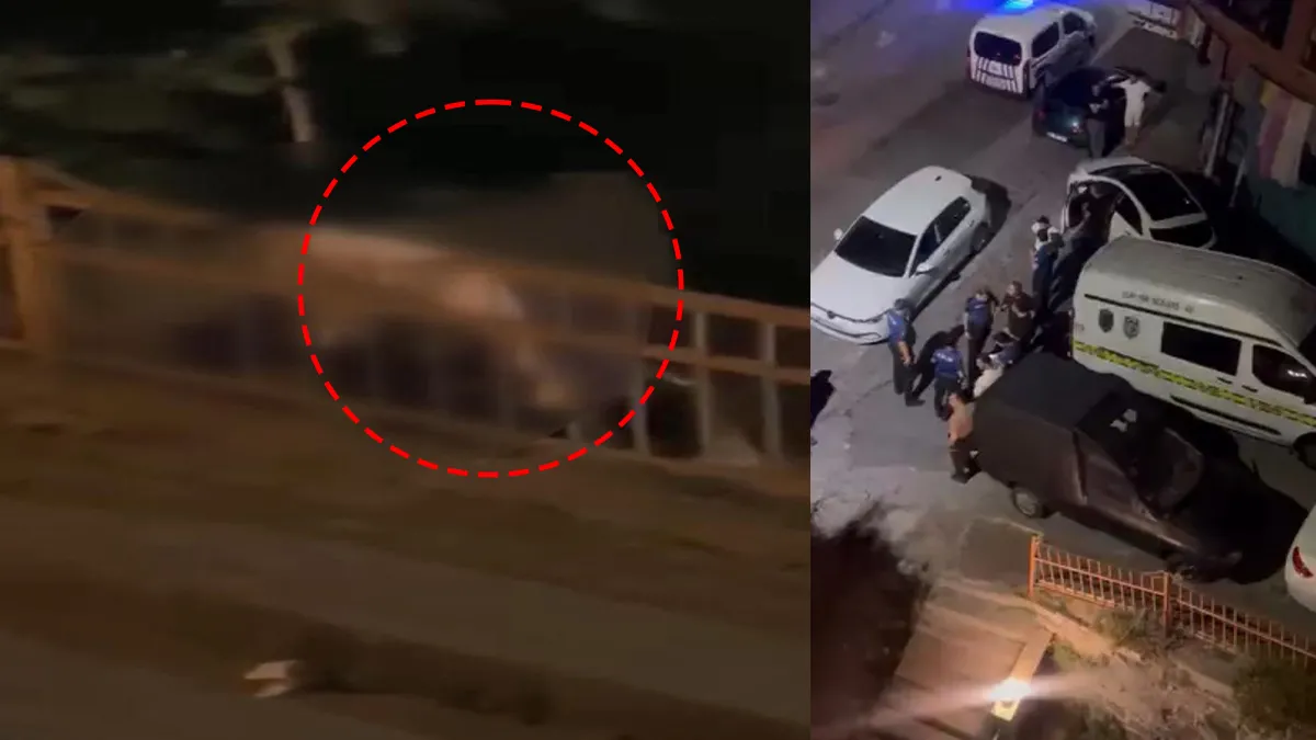 SON DAKİKA… İstanbul’da gece yarısı korkunç cinayet! Demir korkuluklara kabloyla asılı halde bulundu: Kimliği belli oldu…