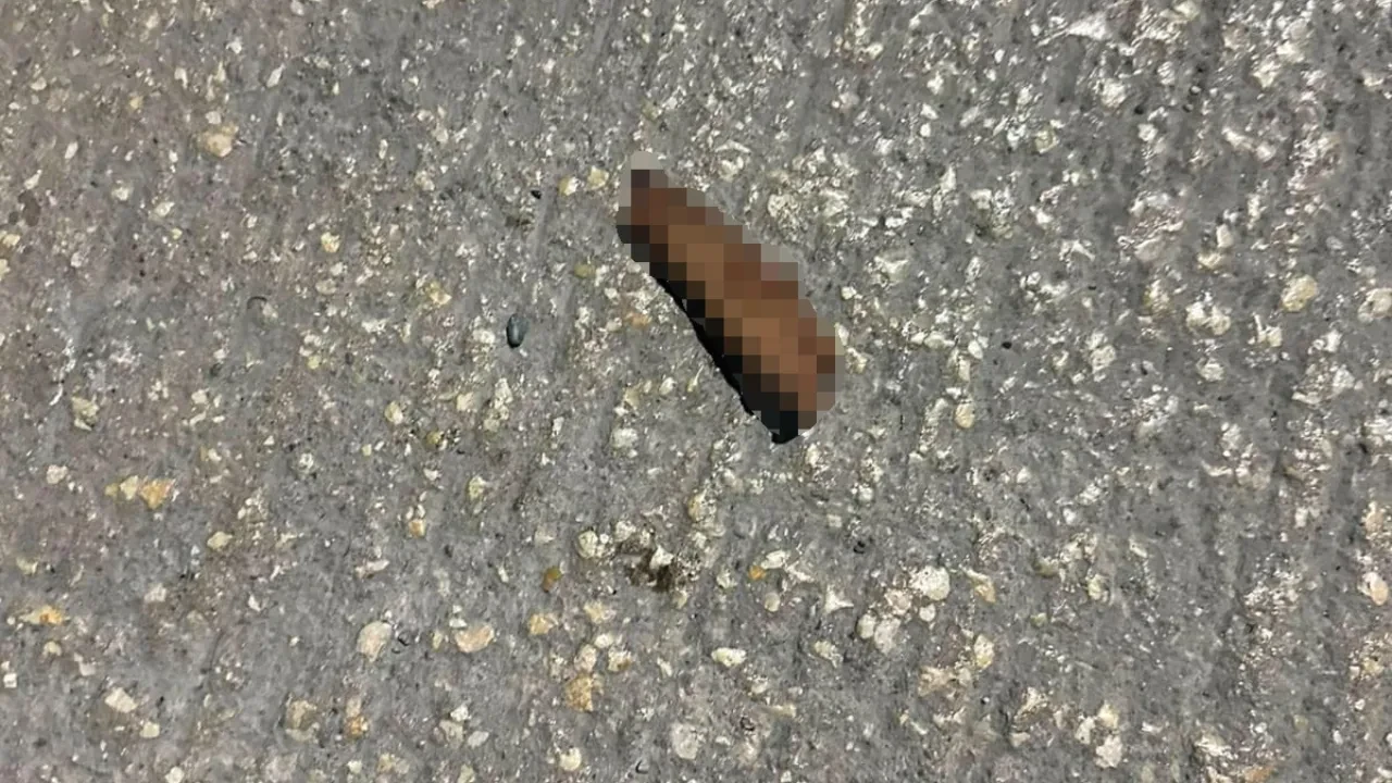 Patlayıcıyı tam fırlatacakken elinde patladı: Parmakları koptu