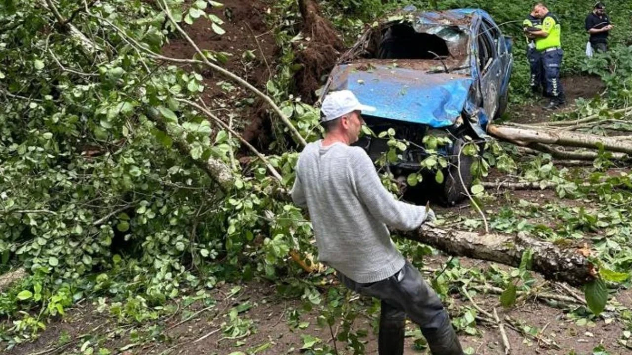 Rize'de feci kaza: Uçuruma yuvarlanan kamyonetteki karı koca hayatını kaybetti