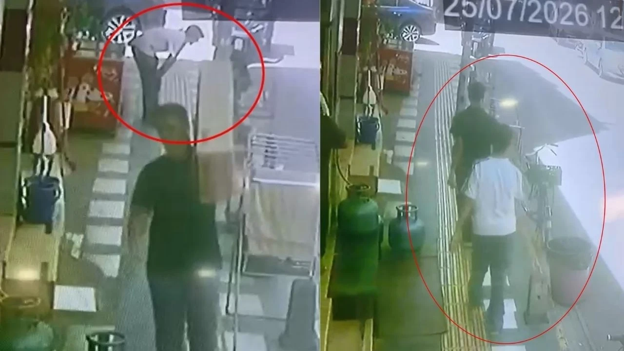 Mardin'de şaşkına çeviren hırsızlık! Papağanı sevip çaldı