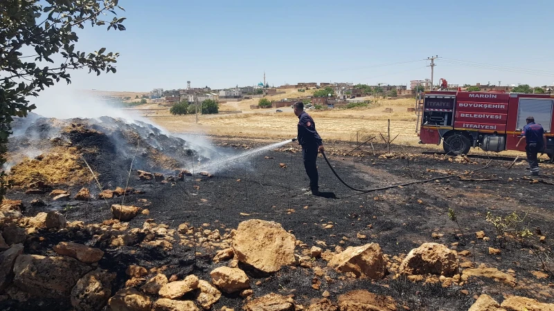 Mardin'in 4 ilçesinde çıkan yangınlar kontrol altına alındı