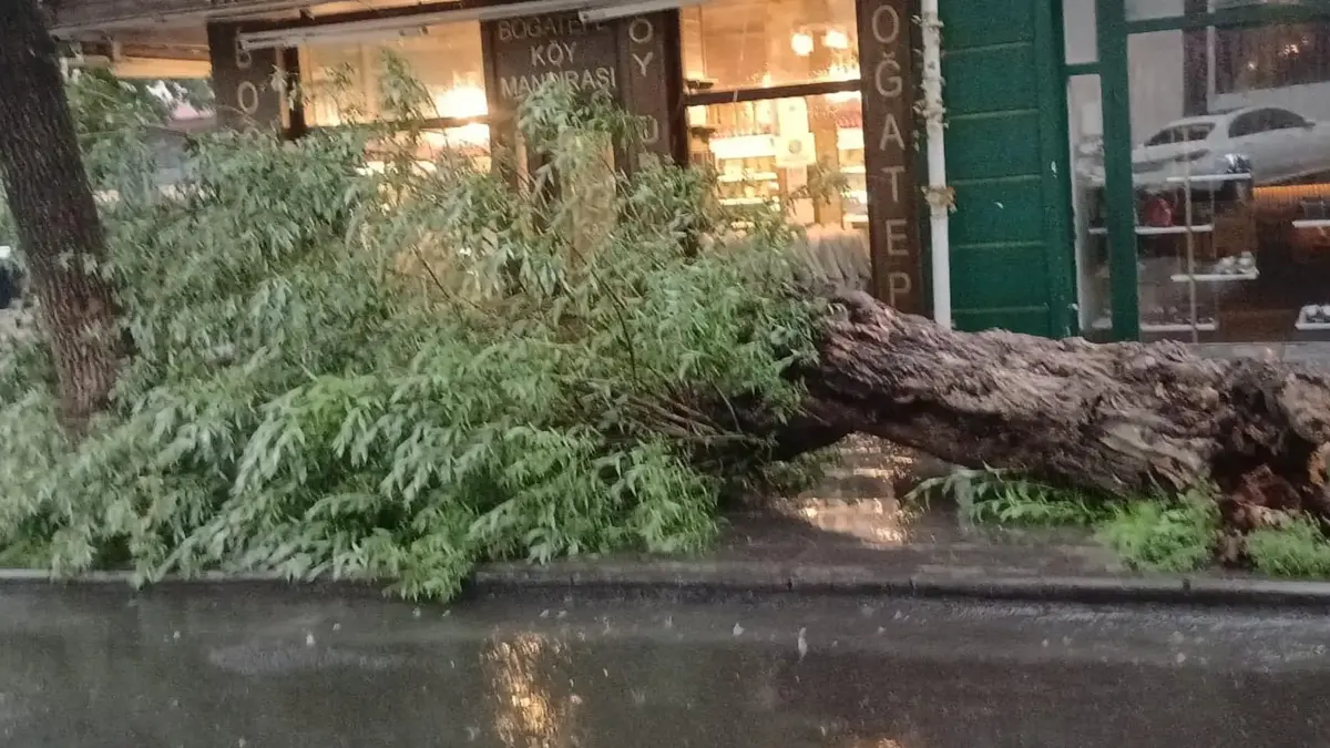 Kars’ı sağanak ve fırtına vurdu! Yollar göle döndü, ağaç devrildi