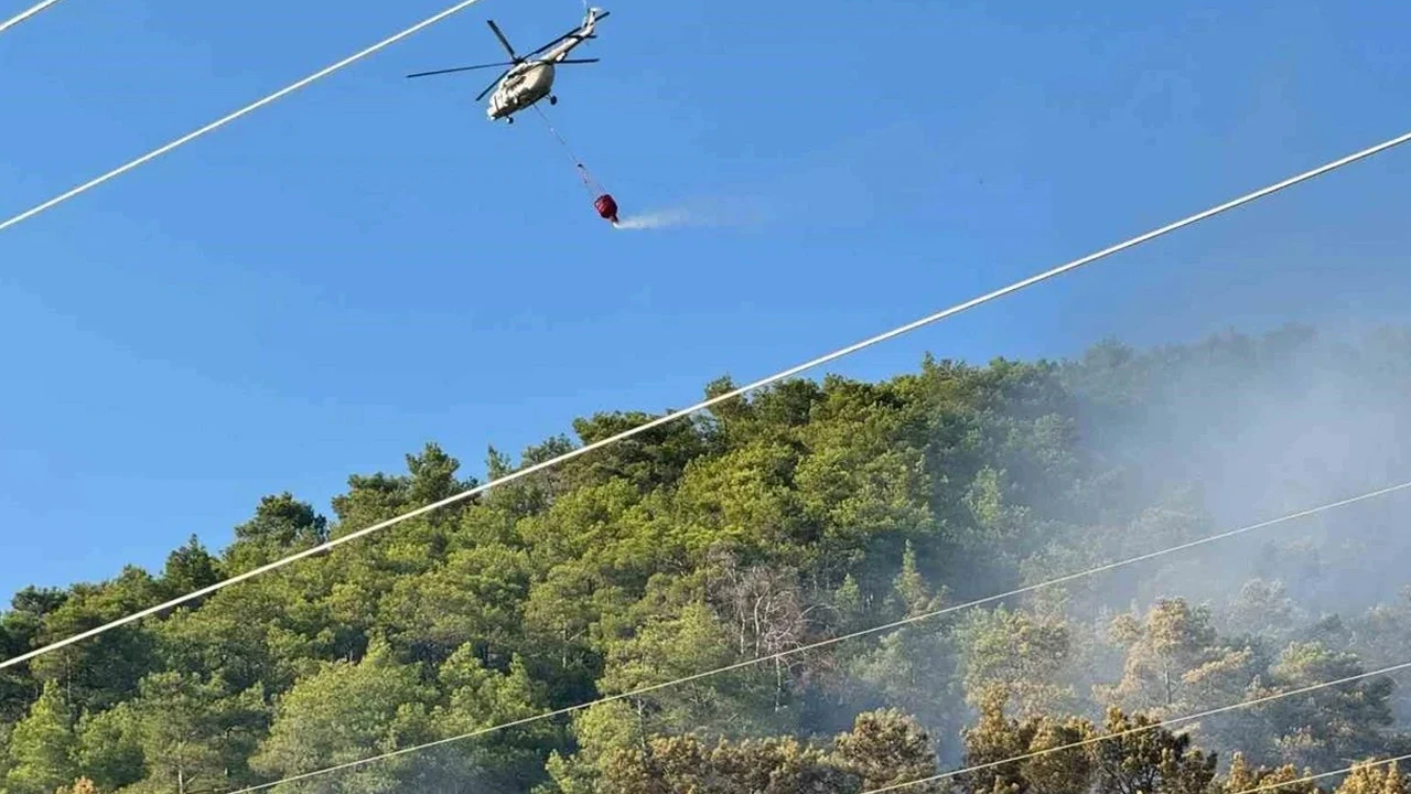 Muğla yangınında bir kişi gözaltına alındı