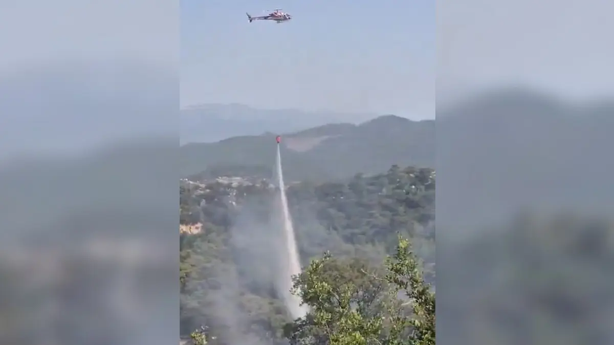 Antalya'da orman yangını! Ekipler seferber oldu