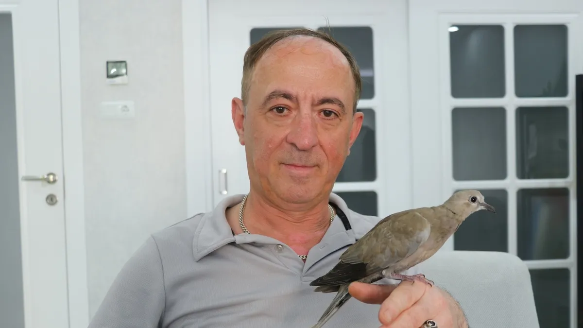 Şırıngayla beslediği yaralı kumru en yakın dostu oldu