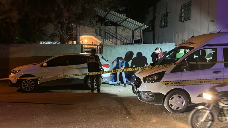 Kendisini tabancayla yaralayan kardeşini bıçaklayarak öldürdü