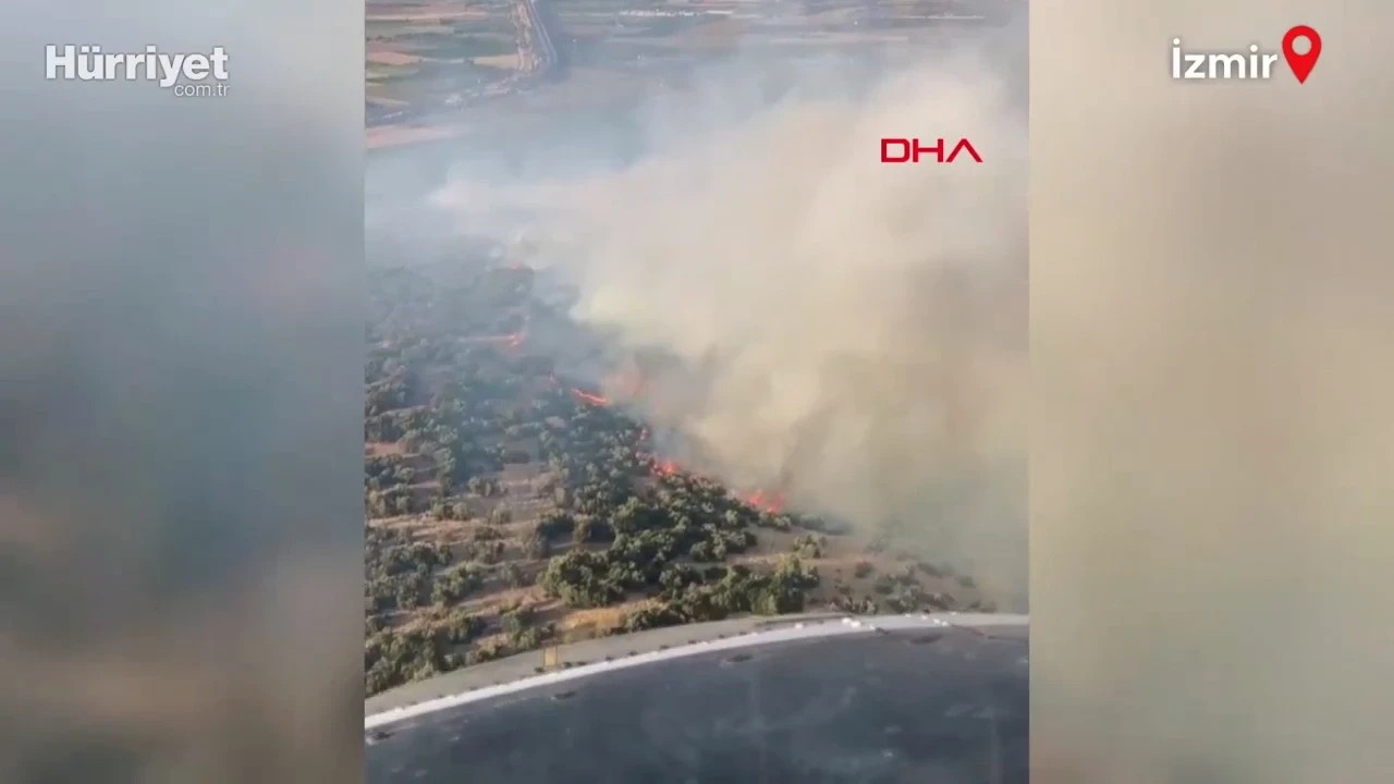 İzmir’de orman yangını; ekiplerin havadan müdahalesi sürüyor