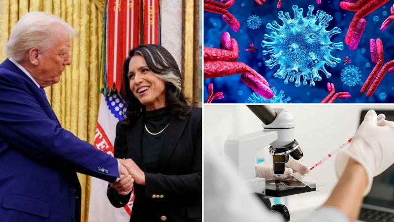 İstihbarat Direktörlüğünden istifa eden Gabbard ABD'nin 'örtbas edilen' laboratuvarlarını açıkladı