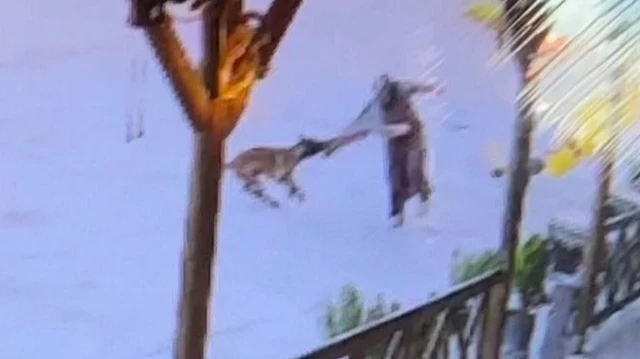 Afyonkarahisar'da sahipsiz köpek dehşeti