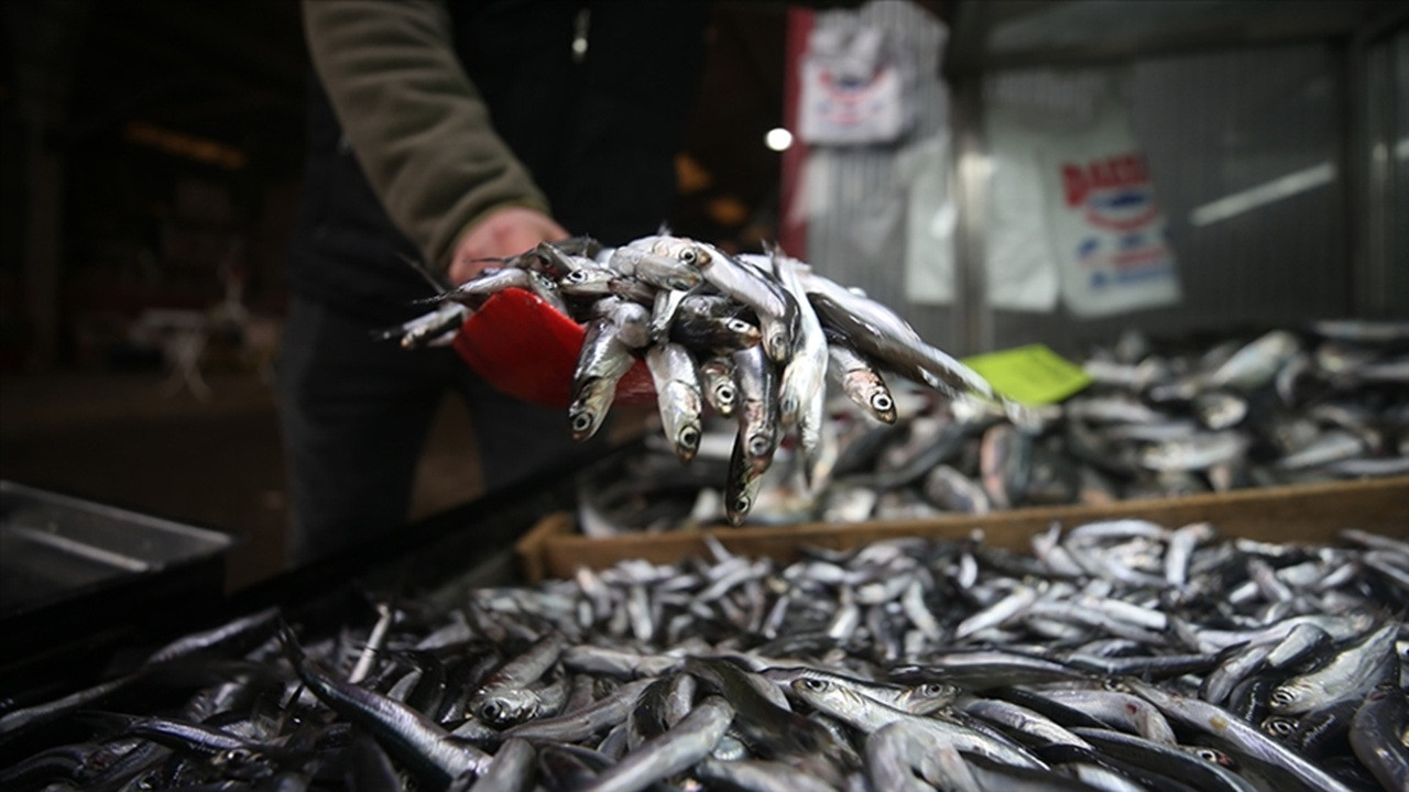 Yaklaşık 130 ton: İstanbul'da mayısta en çok hamsi tüketildi
