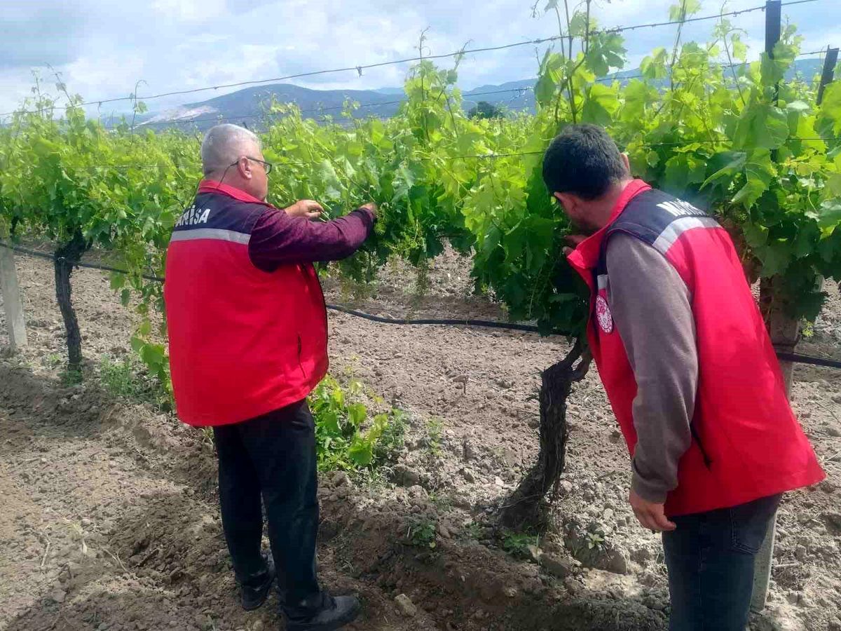 Manisa'da tarım denetimleri hız kesmiyor