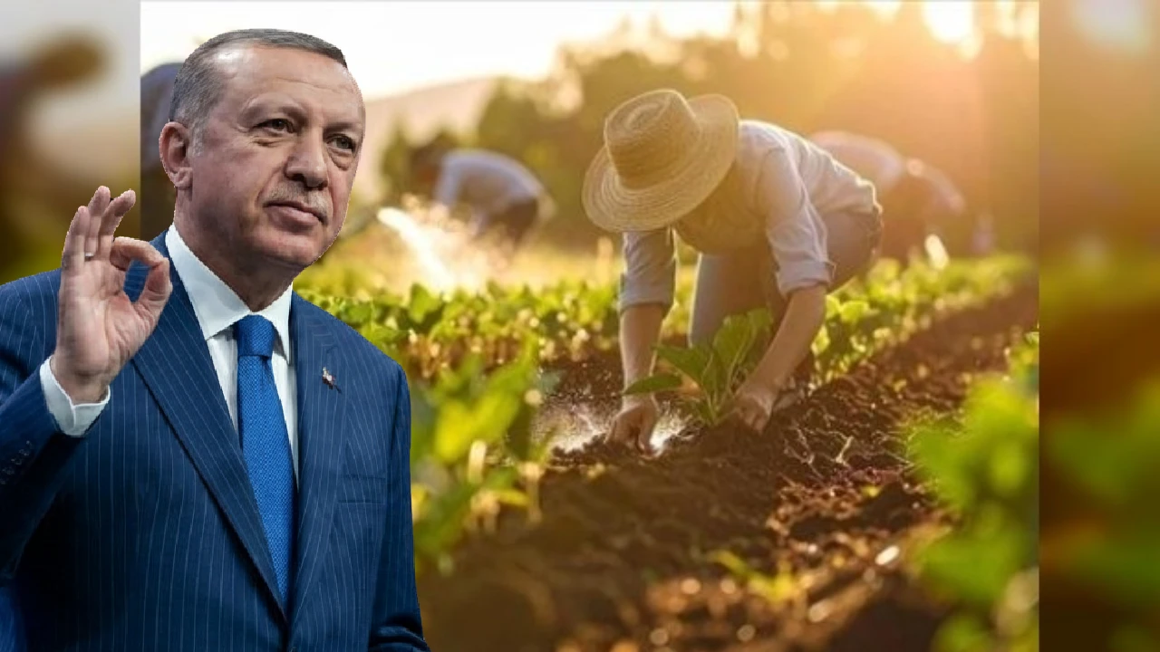 Erdoğan’dan çiftçiye müjde! İran krizi maliyetlerine karşı destekler artıyor