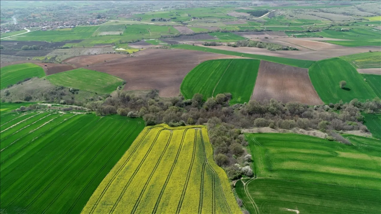 Arazi yatırımcısına soğuk duş! Sadece 9 şehir enflasyonu yendi