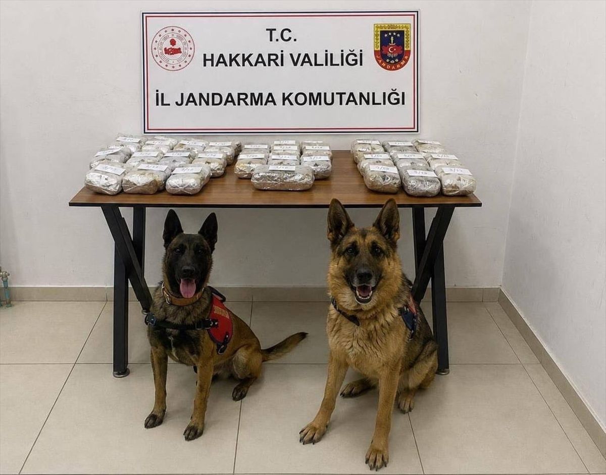 Hakkari'de 21 kilo 650 gram esrar ele geçirildi