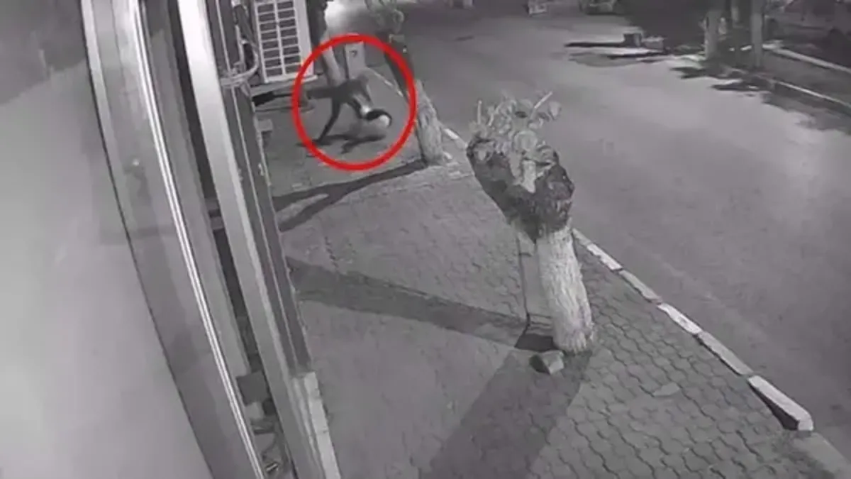 İzmir'deki vahşette flaş gelişme: 18 yaşındaki Betül'ü bıçaklayan ısrarlı takipçinin tahliyesine başsavcılık dur dedi