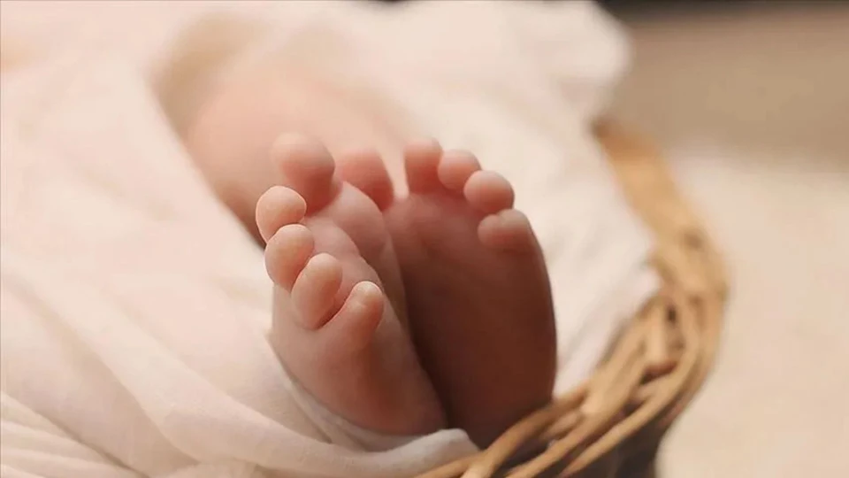 Avustralya'da tek yumurta dördüz doğumu: 15 milyonda bir olay