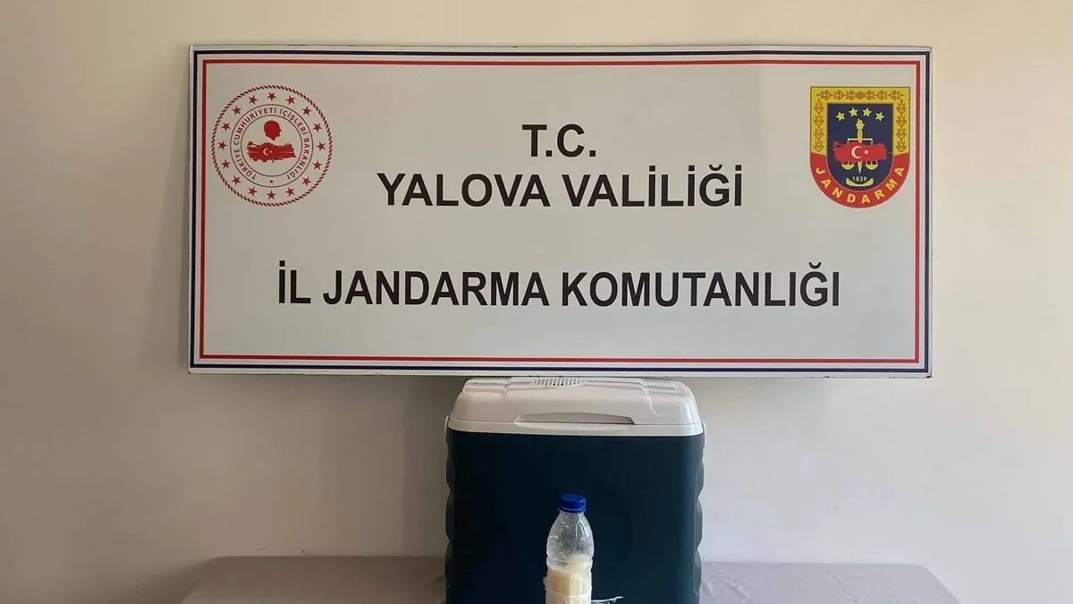 Bu şişenin değeri 5 milyon dolar: Kaçak yollarla Türkiye'ye getirdiler! Altından daha değerli…