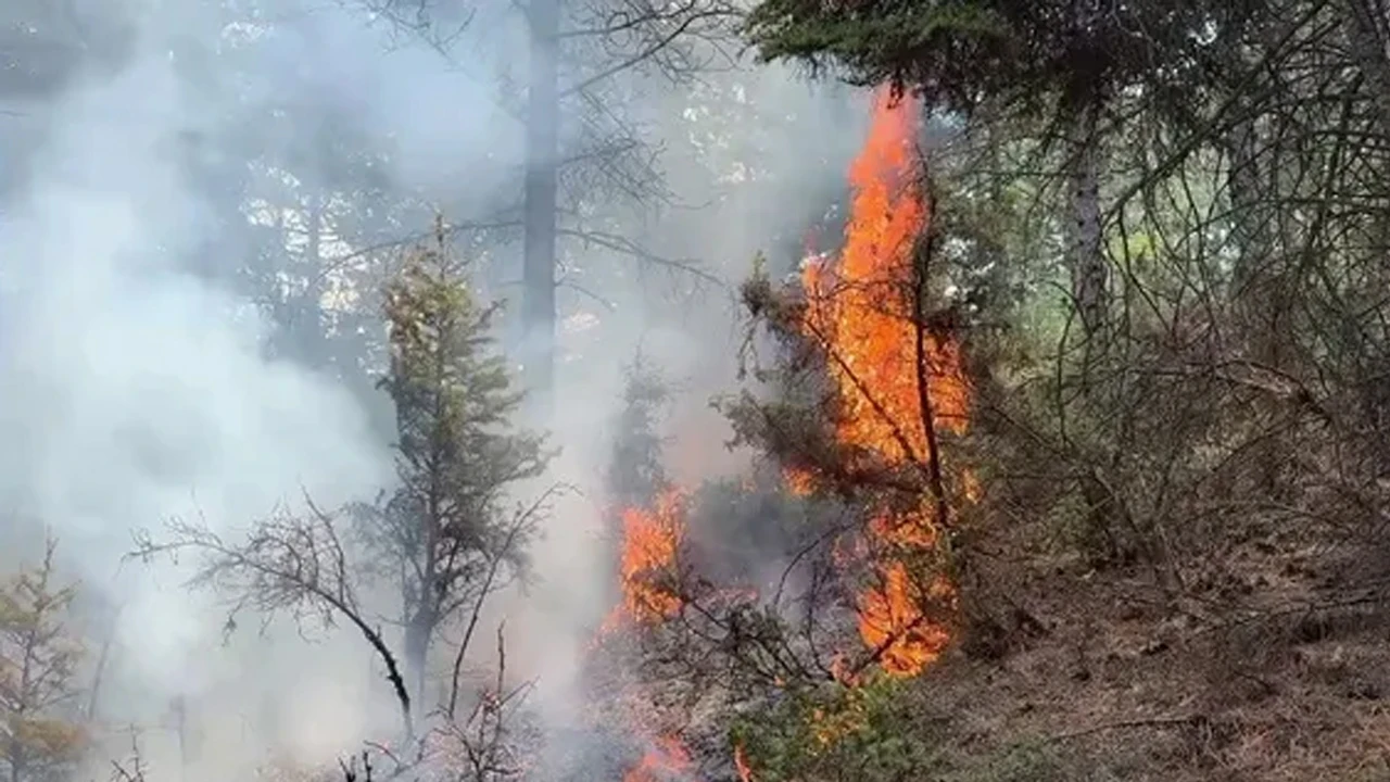 Kütahya’da orman yangını, ekipler alevlere müdahale ediyor