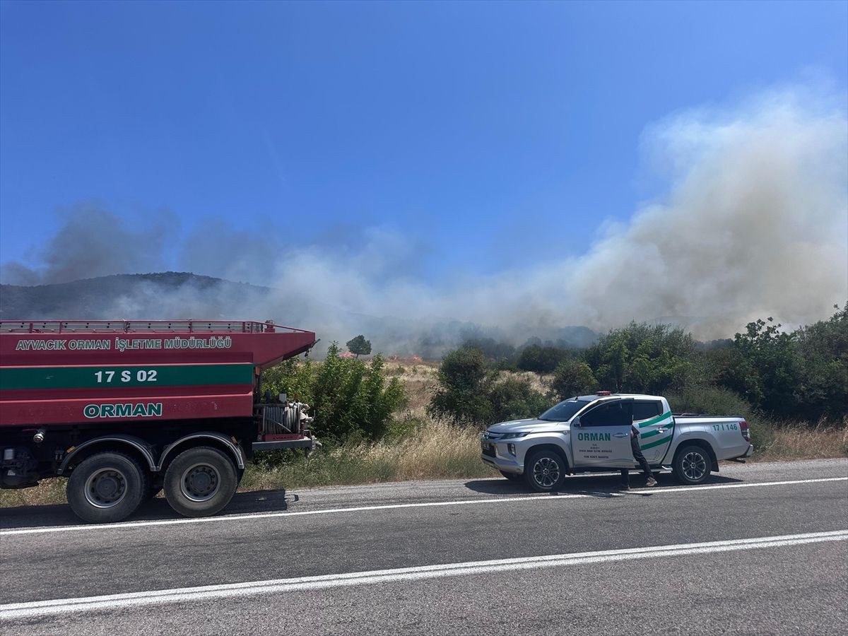 Çanakkale'de ormanlık alanda çıkan yangın söndürüldü