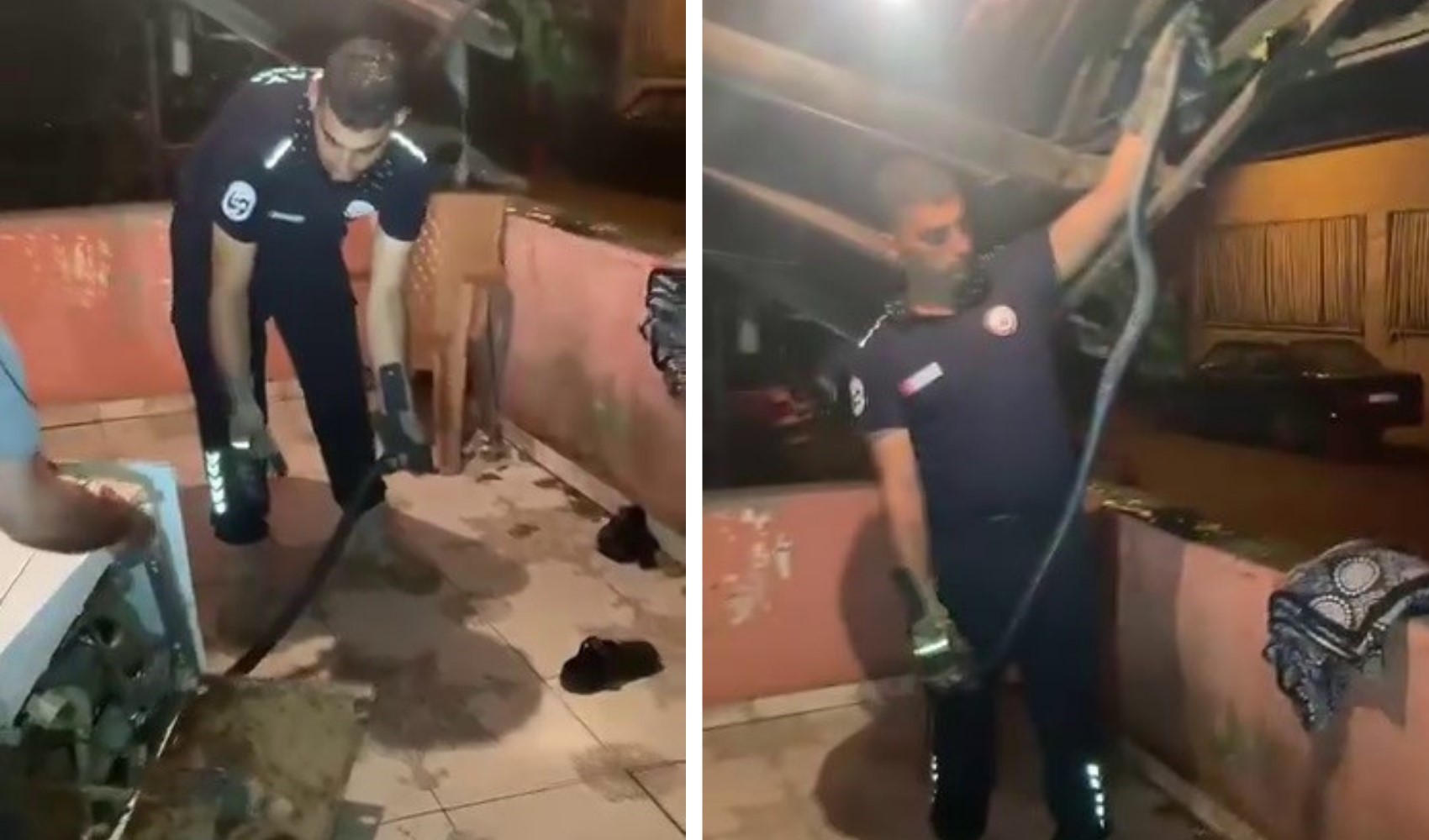 Bulaşık makinesinden 2 metrelik karayılan çıktı!