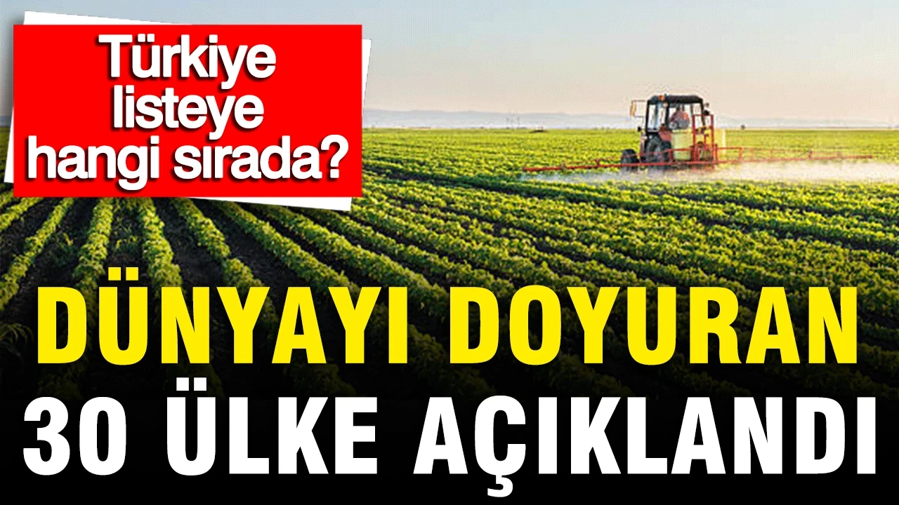 Dünyayı doyuran 30 ülke açıklandı: Türkiye listede hangi sırada?