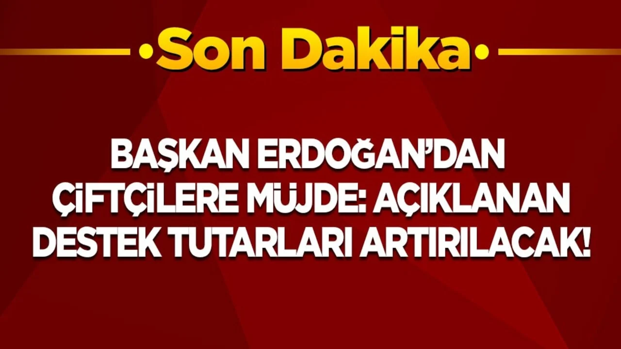 Cumhurbaşkanı Erdoğan'dan çiftçilere müjde: Açıkladığı destek tutarları artırılacak!