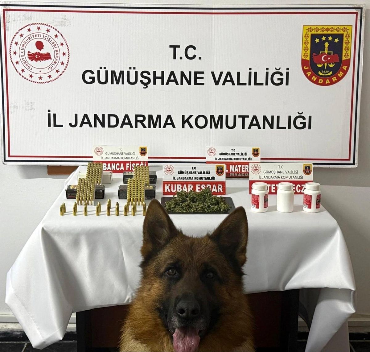 Gümüşhane'de uyuşturucu operasyonu
