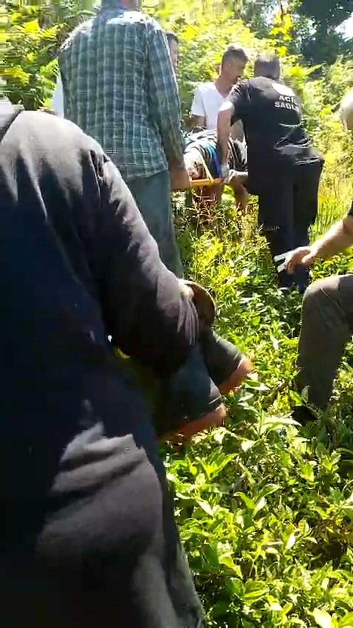 Kiraz toplamak için çıktığı ağaçtan düştü