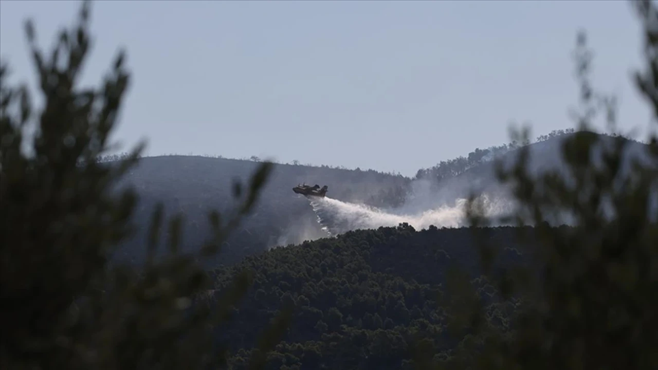 Yunanistan'da orman yangını: Havadan ve karadan müdahale sürüyor