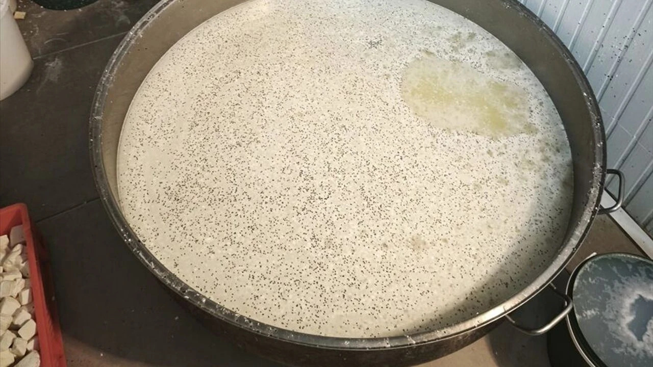 Başkentte 9 ton bozuk süt ve süt ürünü ele geçirildi