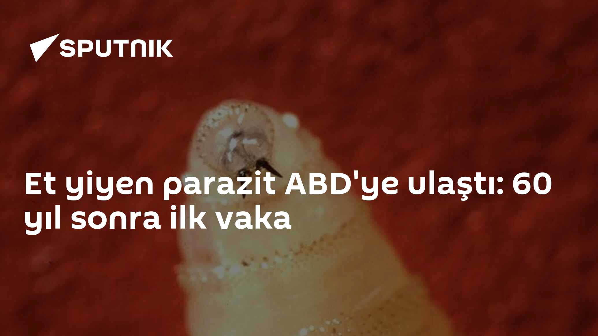 Et yiyen parazit ABD'ye ulaştı: 60 yıl sonra ilk vaka