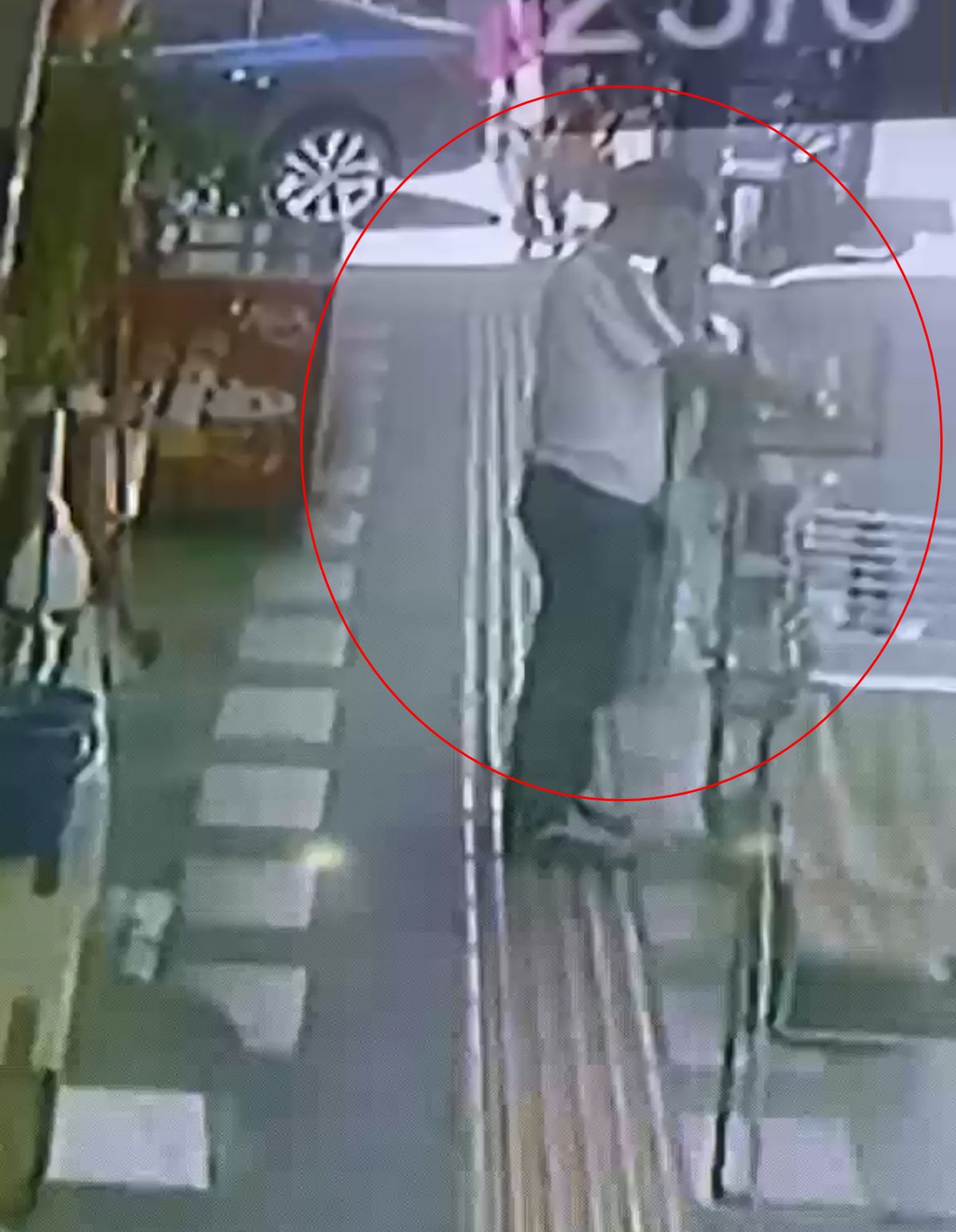 İş yerinin önünden papağanı çaldılar; o anlar kamerada