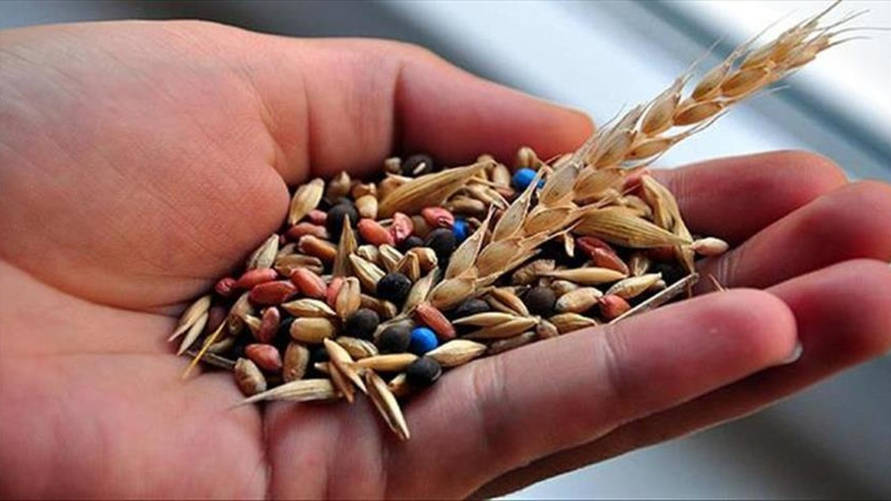 Yerli tohumda 17 türde 39 yeni çeşit daha tescil edildi, toplam sayı 1087 oldu