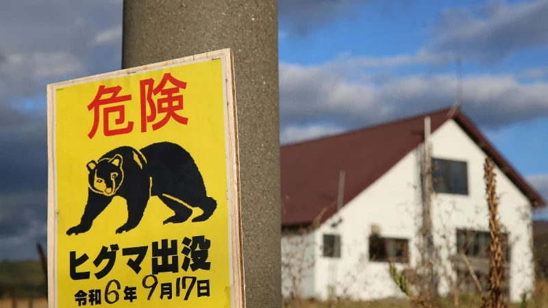 Japonya'da bir fabrikaya giren ayının 'pencereyi açıp kaçtığı' düşünülüyor