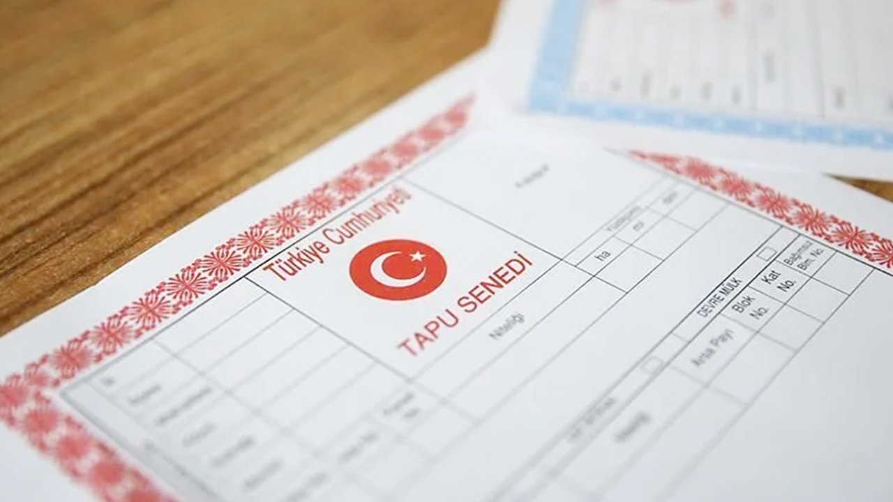 "Sana bakarım" deyip dedesinden arsa almıştı! Sözünü tutmayan toruna Yargıtay'da şok