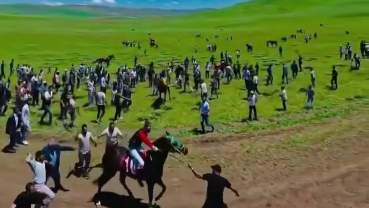 Asırlık gelenekte atlara eziyet: Soruşturma başlatıldı