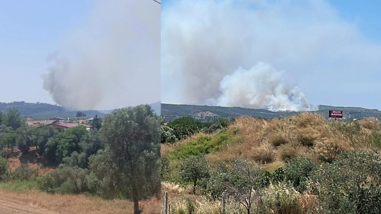 Son Dakika | Ege’de iki orman yangını! Çeşme Alaçatı ve Seydikemer'e ekipler peşpeşe gitti
