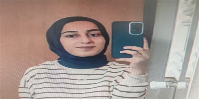 Van Barosu, Rojin Kabaiş dosyasından çekildi