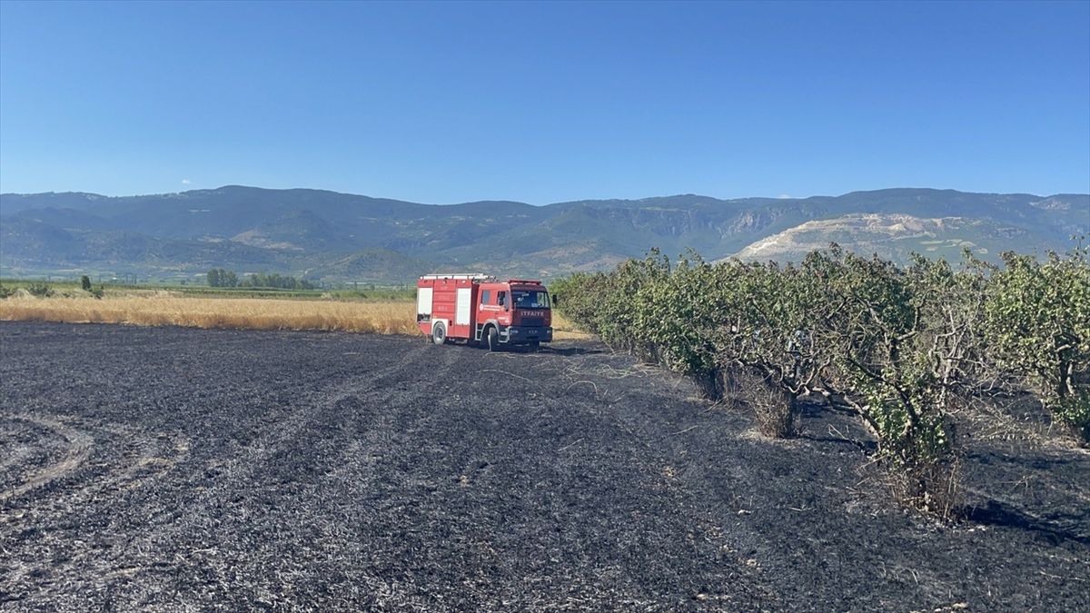 Sakarya'da otluk alanda çıkıp bahçe ve tarlaya sıçrayan yangın söndürüldü