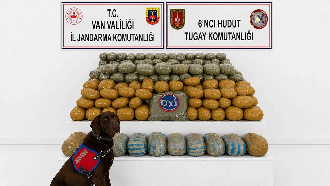 Van’da 291 kilogram toz esrar ele geçirildi