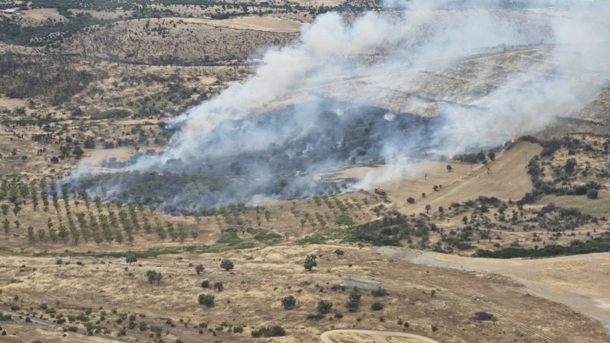 Çanakkale'de ormanlık alanda yangın çıktı! Ekipler müdahale ediyor