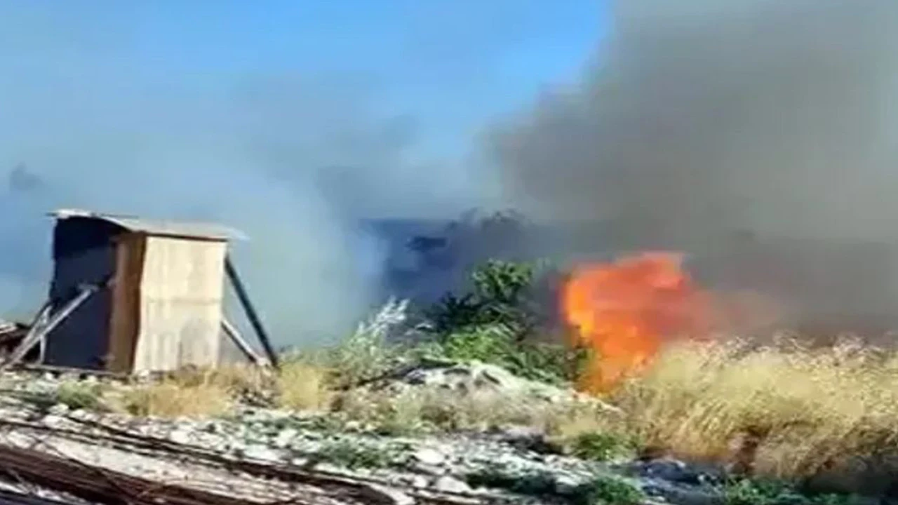 Avcılar'da otluk alanda yangın çıktı