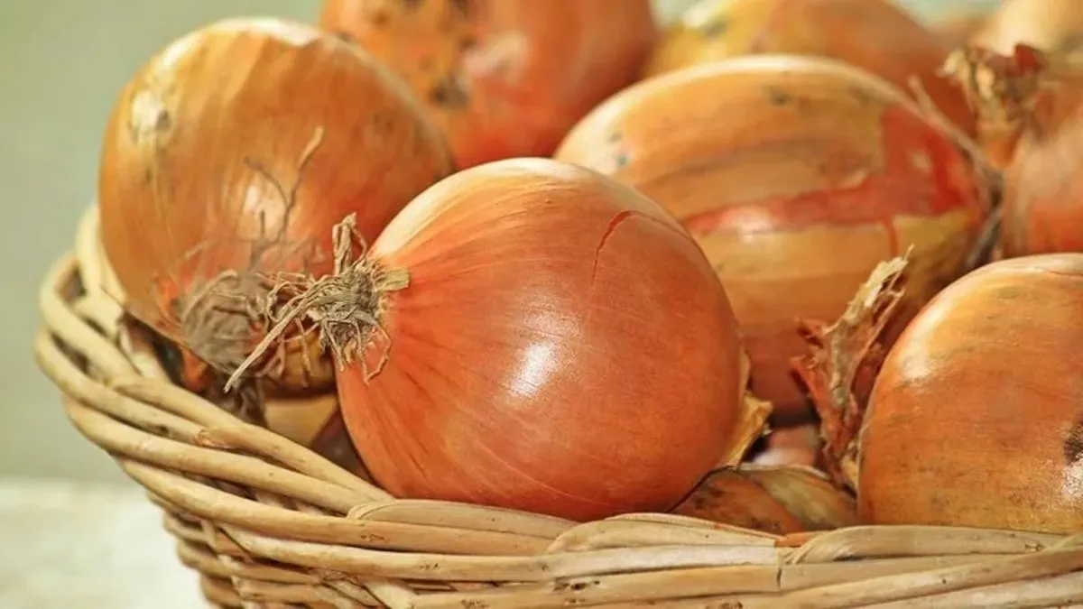 Bakanlık açıkladı: Kuru soğanda gümrük vergisi düzenlemesi! İthalatta vergi oranı yüzde 5 oldu