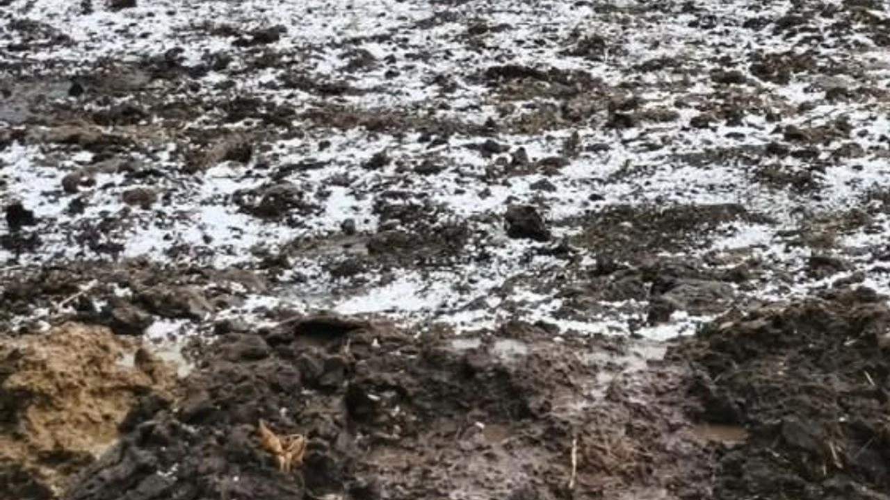 Edirne'de dolu yağışı etkili oldu