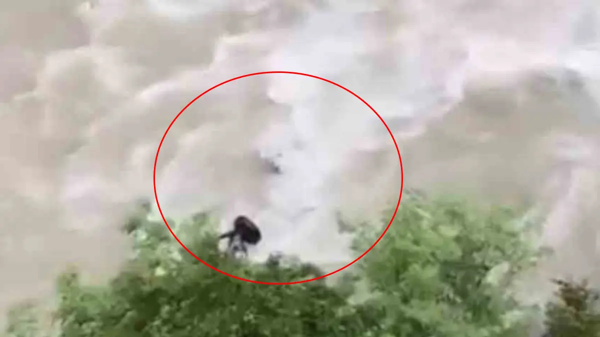 Otomobil Çoruh Nehri'ne uçtu: Baba ve oğlu aranıyor